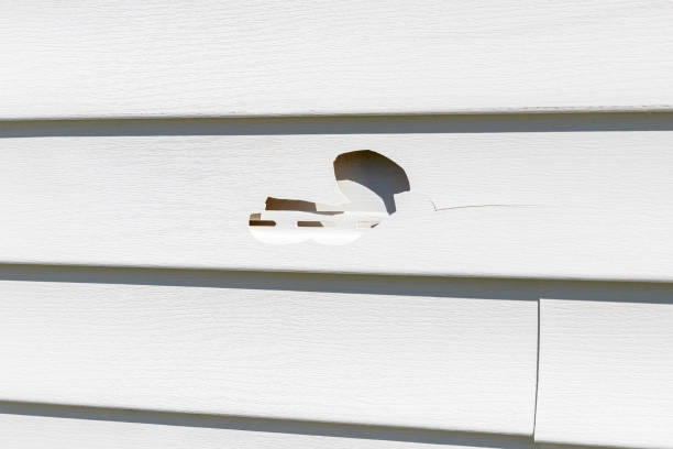 Reliable Bethlehem, PA Siding Solutions